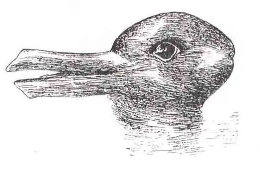 rabbit or duck? optical illusion